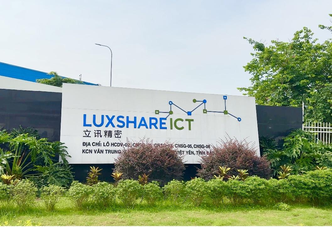 23261_241505598110240_49mz0