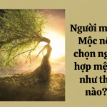 TỬ VI & ĐỊNH HƯỚNG CÔNG VIỆC CHO NGƯỜI MỆNH MỘC