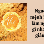 TỬ VI & ĐỊNH HƯỚNG CÔNG VIỆC CHO NGƯỜI MỆNH THỔ